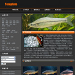鿴վģʾ