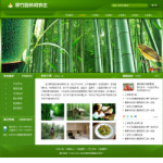 点击查看网站模板演示